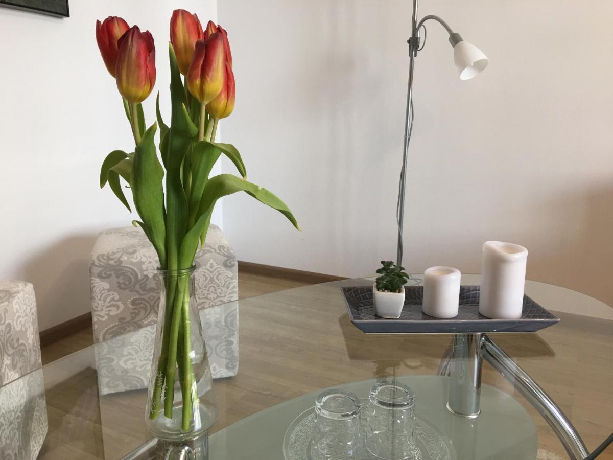 Elegantza Suites Braşov Eksteriør bilde