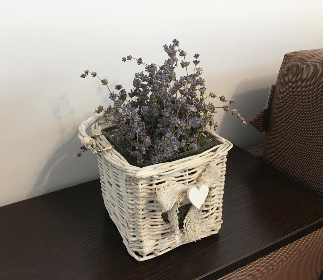 Elegantza Suites Braşov Eksteriør bilde